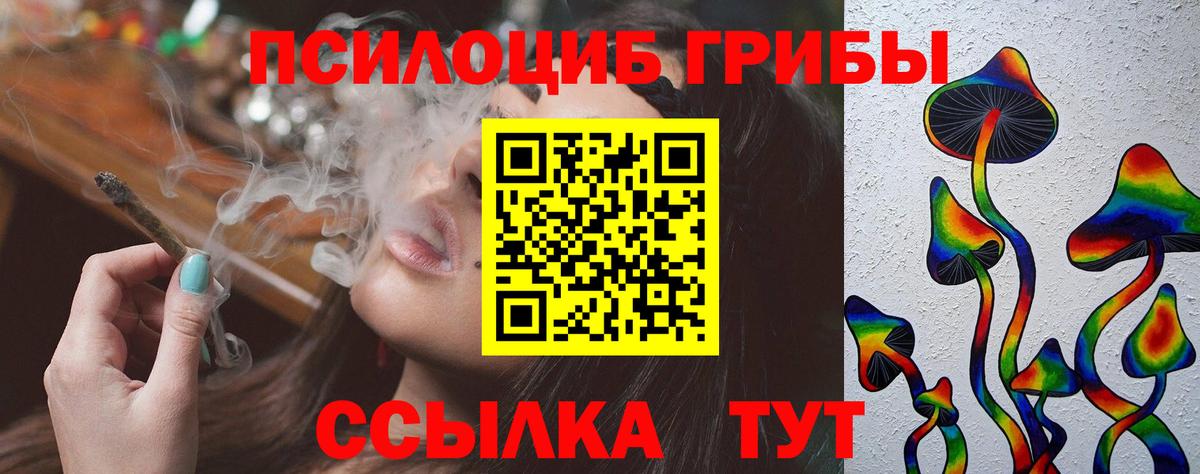 Похвистнево  Псилоцибиновые грибы Psilocybe  Вход с VPN 